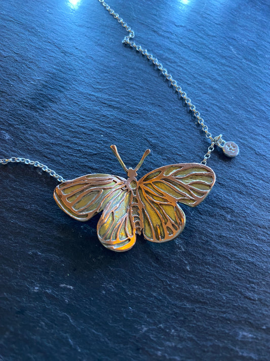 Butterfly- one of a kind. ✨